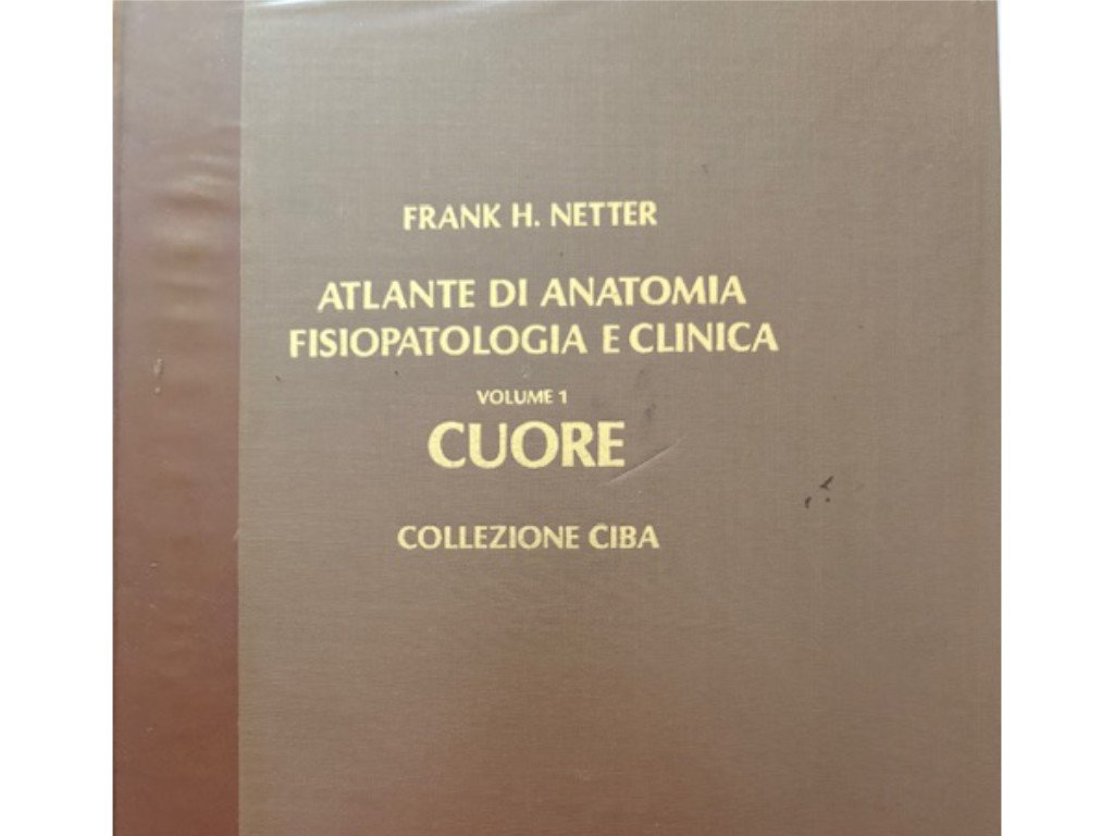 atlante di anatomia fisiopatologia e clinica traduzione di mario trivellato